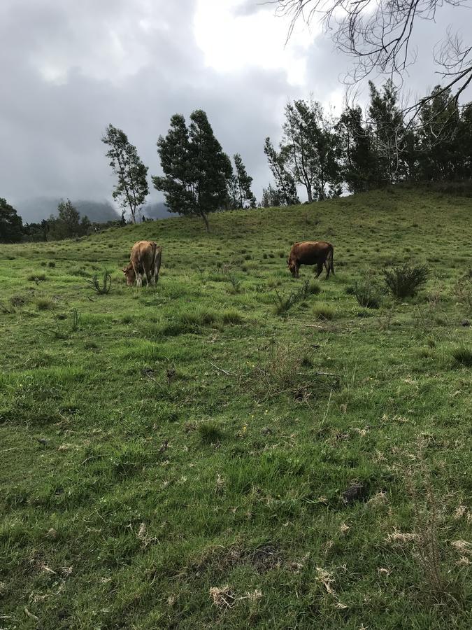 Ti Kaz Papang Villa La Plaine des Cafres Esterno foto